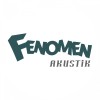 Fenomen Akustik