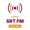 SRT FM Sungurlu